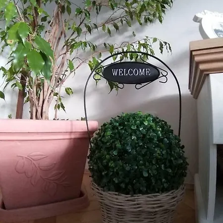 Appartement Apartman U Babky Banská Štiavnica
